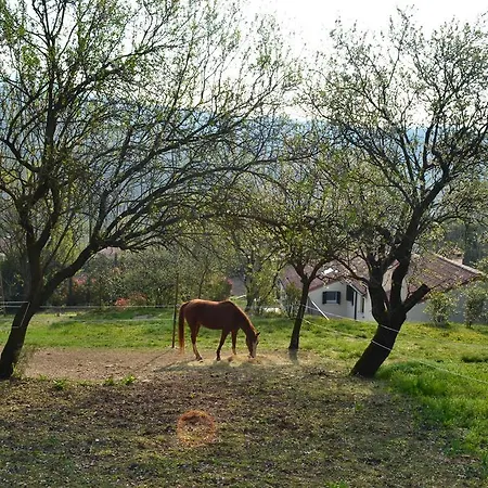 Luna Di Miele Apartament Baone