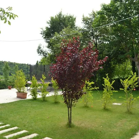 Luna Di Miele Apartament
