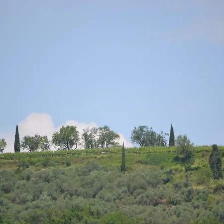 Luna Di Miele Apartament Baone